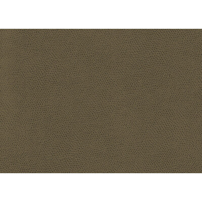 KRAVET CONTRACT OPHIDIAN.606.0 OPHIDIAN BARK Fabric - Eade's Wallpaper