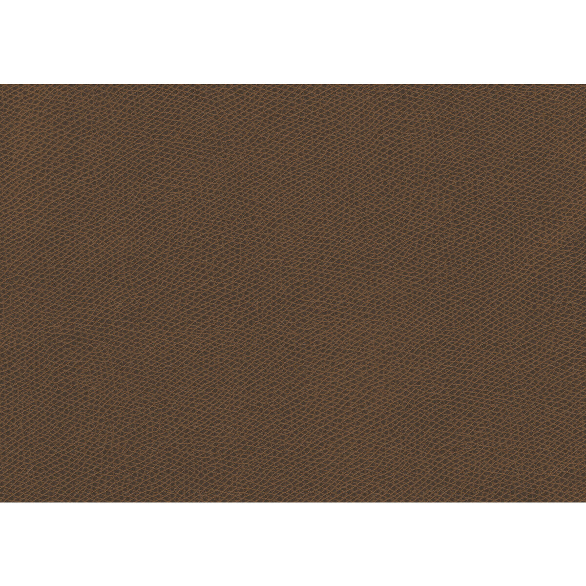 KRAVET CONTRACT OPHIDIAN.616.0 OPHIDIAN MAPLE Fabric - Eade's Wallpaper