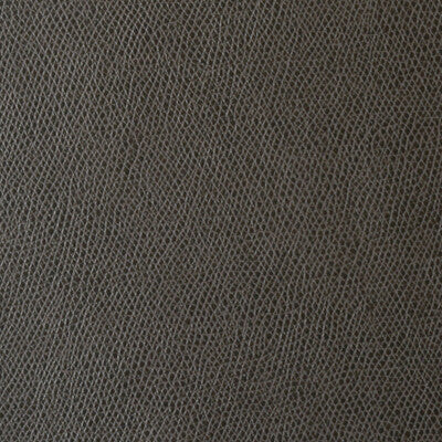 KRAVET CONTRACT OPHIDIAN.6.0 OPHIDIAN CHARCOAL Fabric - Eade's Wallpaper