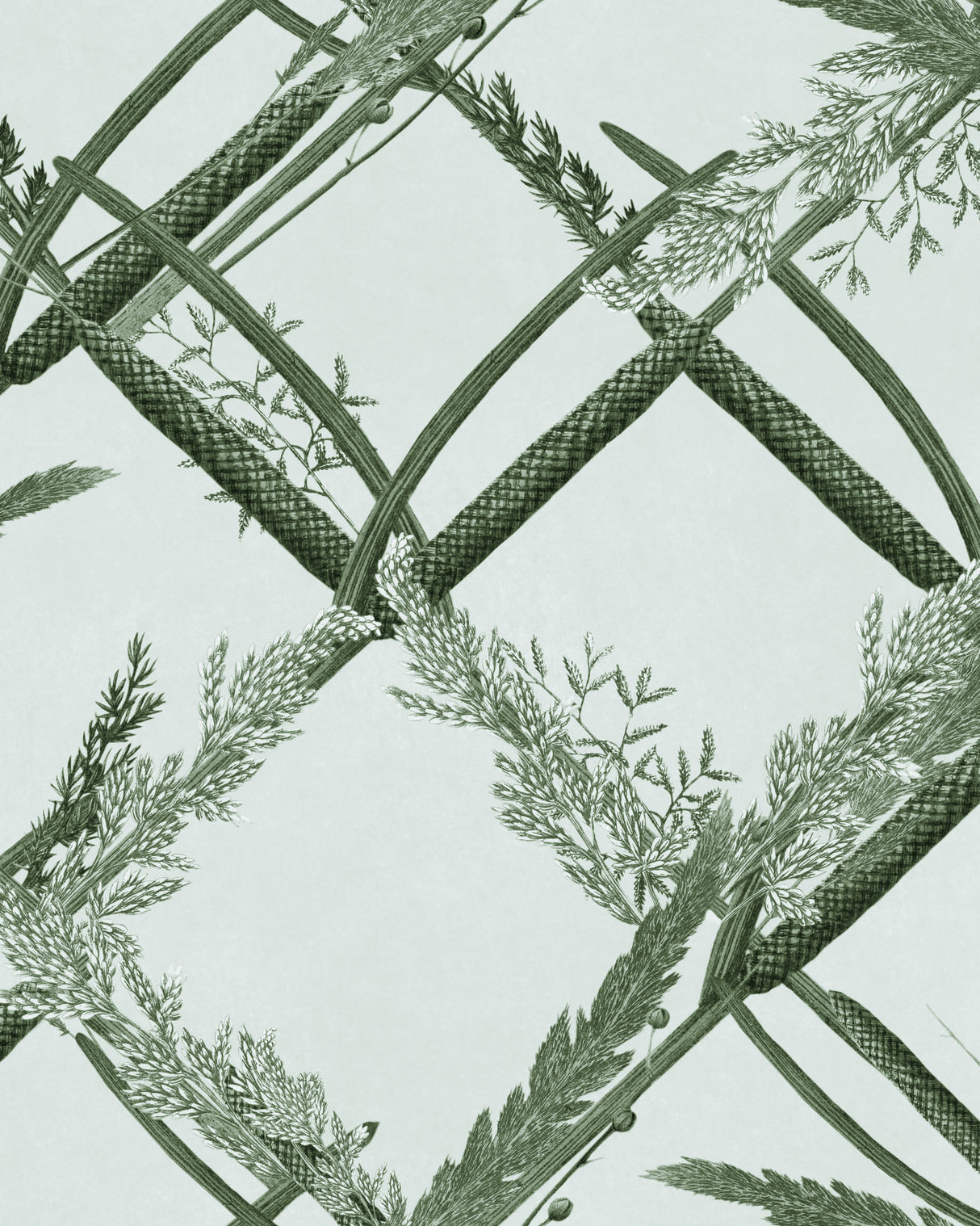 MindtheGap ORNAMENTAL REED Greenlake - Wallpaper Collection 2024 - The Wetlands