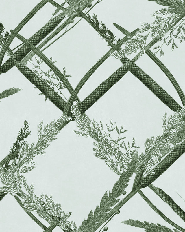 MindtheGap ORNAMENTAL REED Greenlake - Wallpaper Collection 2024 - The Wetlands