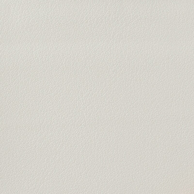 KRAVET BASICS OTTO.101.0 KRAVET BASICS OTTO-101 Fabric - Eade's Wallpaper