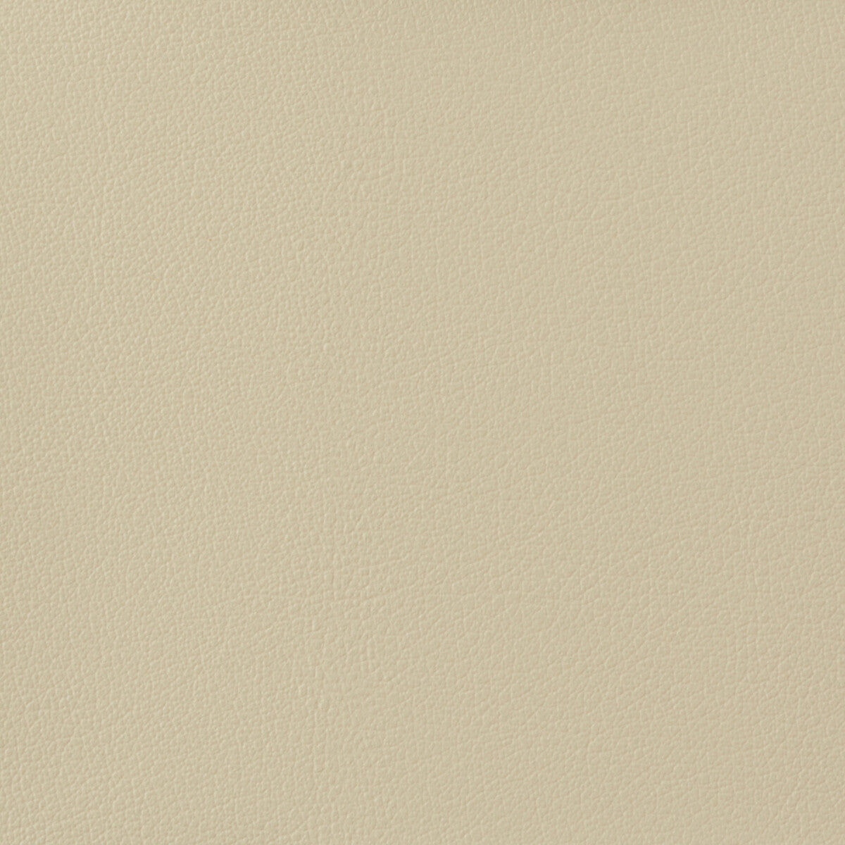 KRAVET BASICS OTTO.1116.0 KRAVET BASICS OTTO-1116 Fabric - Eade's Wallpaper