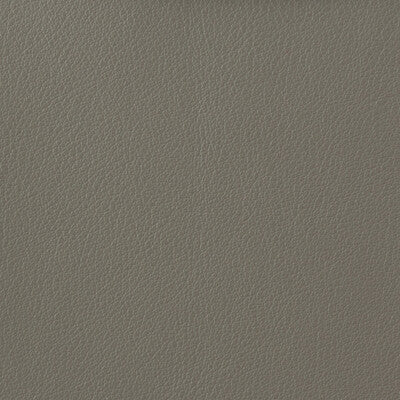KRAVET BASICS OTTO.11.0 KRAVET BASICS OTTO-11 Fabric - Eade's Wallpaper