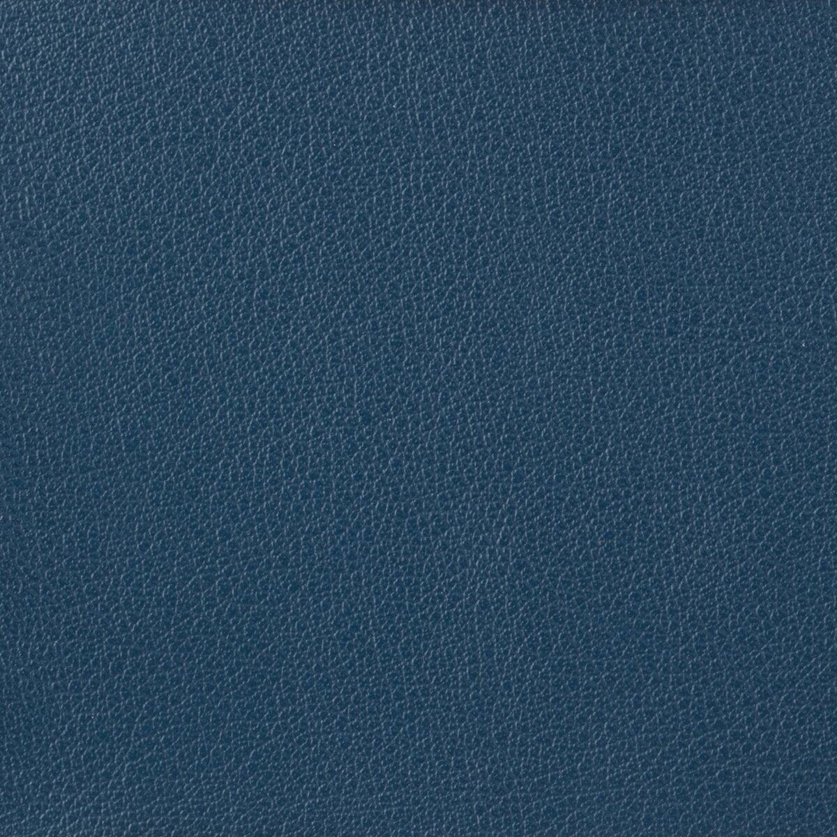 KRAVET BASICS OTTO.5.0 KRAVET BASICS OTTO-5 Fabric - Eade's Wallpaper