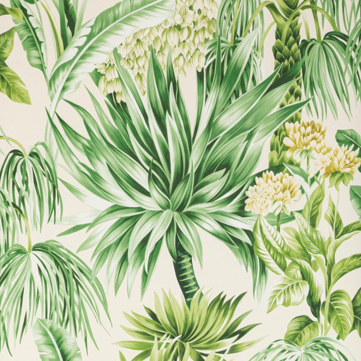 LEE JOFA P2020104.3034.0 CALUYA PAPER PALM Wallpaper - Eade's Wallpaper