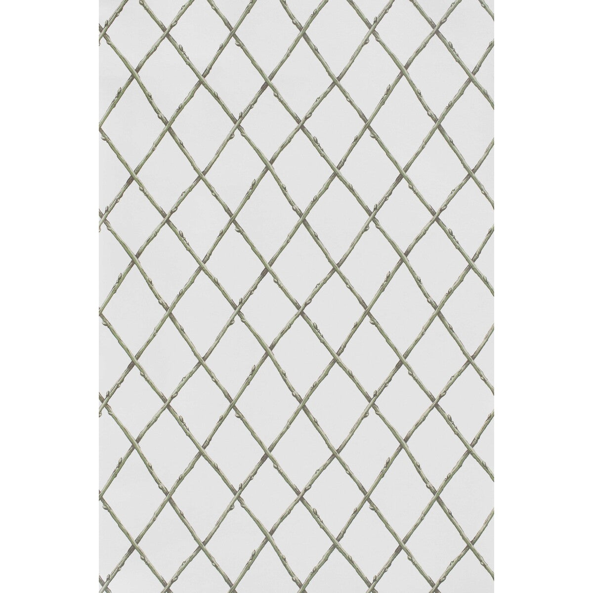 LEE JOFA P2025106.130.0 BARE TWIG TRELLIS WP GREEN Wallpaper - Eade's Wallpaper
