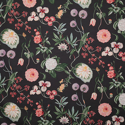 Pindler BOTANIQUE NOIR P6600 Fabric - Fabric Collection
