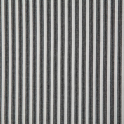 Pindler RAYBROOK NOIR P6708 Fabric - Fabric Collection