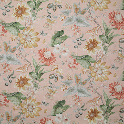 Pindler JARDIN BLUSH P6750 Fabric - Fabric Collection