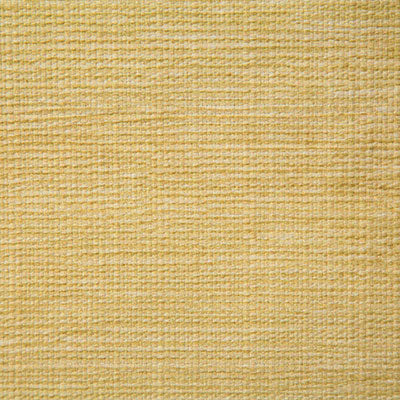 Pindler MATTHEWS BUTTERCUP P6762 Fabric - Fabric Collection