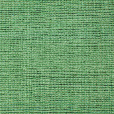 Pindler MATTHEWS KIWI P6762 Fabric - Fabric Collection