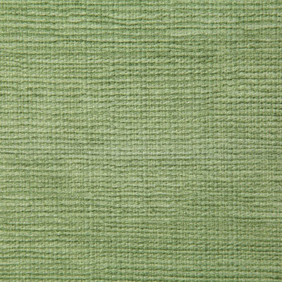 Pindler MATTHEWS LEAF P6762 Fabric - Fabric Collection