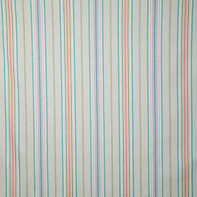 Pindler BERNICE GARDEN P6764 Fabric - Fabric Collection