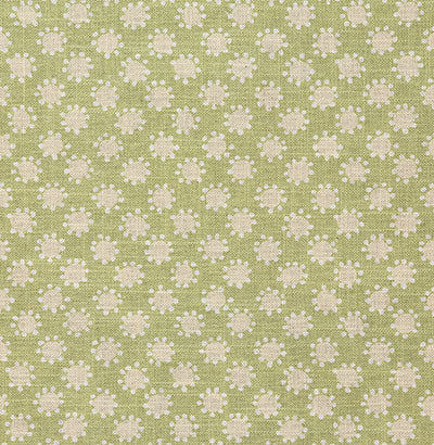 Pindler EVIENNE SAGE P6815 Fabric