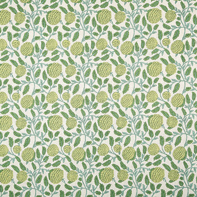 Pindler LISETTE LIME P6860 Fabric