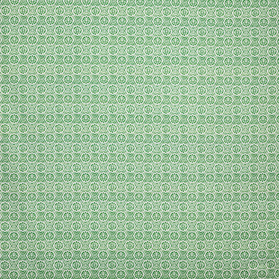 Pindler PANAMA PALM P6874 Fabric