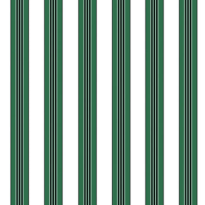 BRUNSCHWIG & FILS P8015104.53.0 RAYURE LIONE EMERALD Wallpaper - Eade's Wallpaper