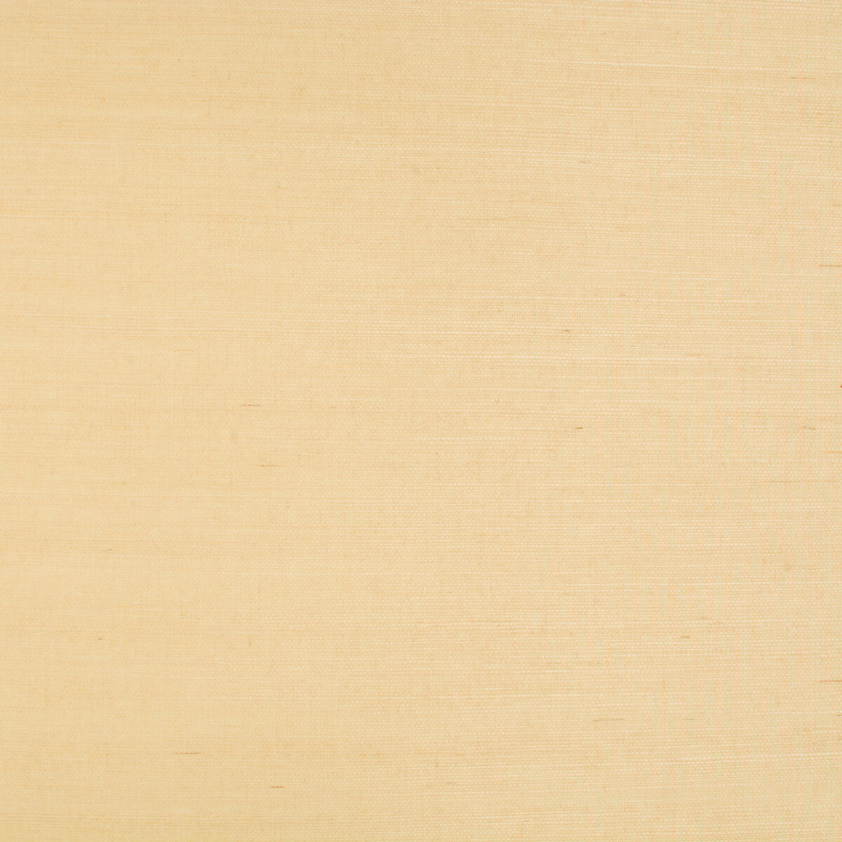 BRUNSCHWIG & FILS P8015145.1.0 NIYODO NATURAL Wallpaper - Eade's Wallpaper