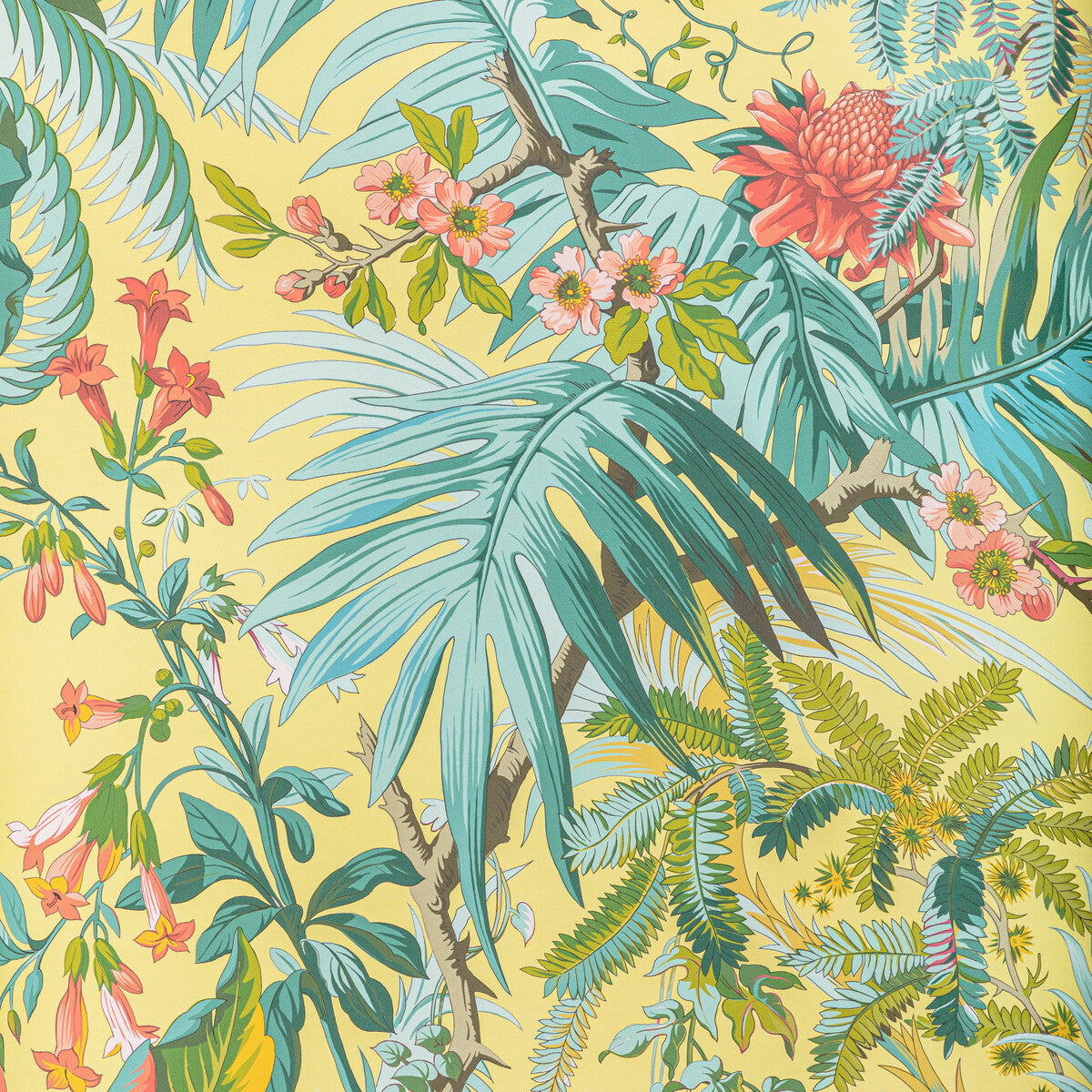 BRUNSCHWIG & FILS P8022111.314.0 MAJORELLE SUN Wallpaper - Eade's Wallpaper