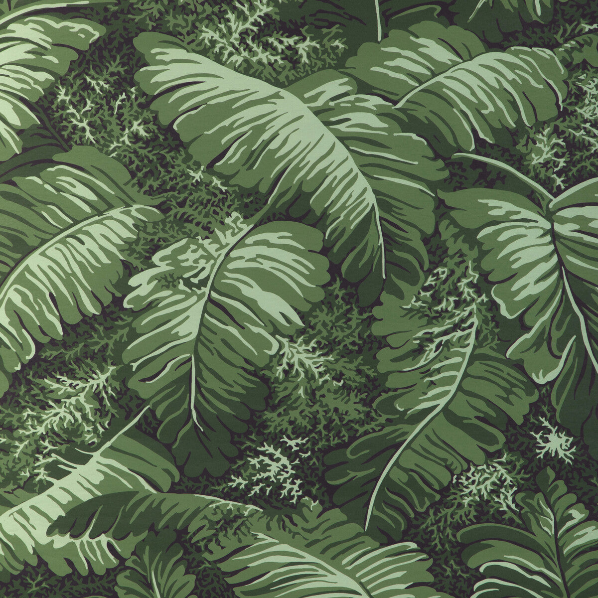 BRUNSCHWIG & FILS P8023109.3.0 FEUILLES DE BANANIER LEAF Wallpaper - Eade's Wallpaper