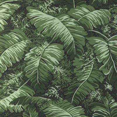 BRUNSCHWIG & FILS P8023109.3.0 FEUILLES DE BANANIER LEAF Wallpaper - Eade's Wallpaper