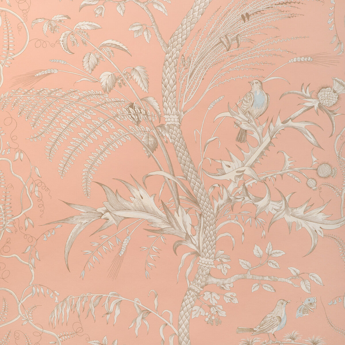 BRUNSCHWIG & FILS P8024101.1216.0 BIRD AND THISTLE II PEACH Wallpaper - Eade's Wallpaper