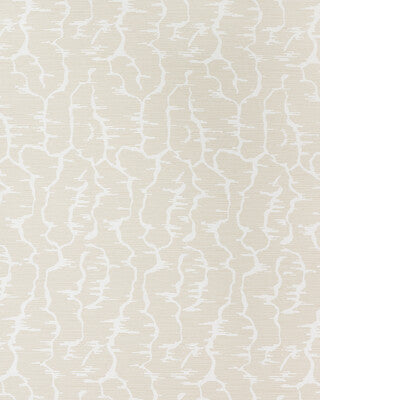 BRUNSCHWIG & FILS LEVES WC P8025102.16.0 in BEIGE Wallpaper