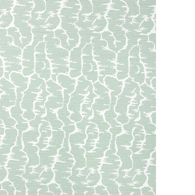 BRUNSCHWIG & FILS LEVES WC P8025102.3.0 in GREEN Wallpaper -