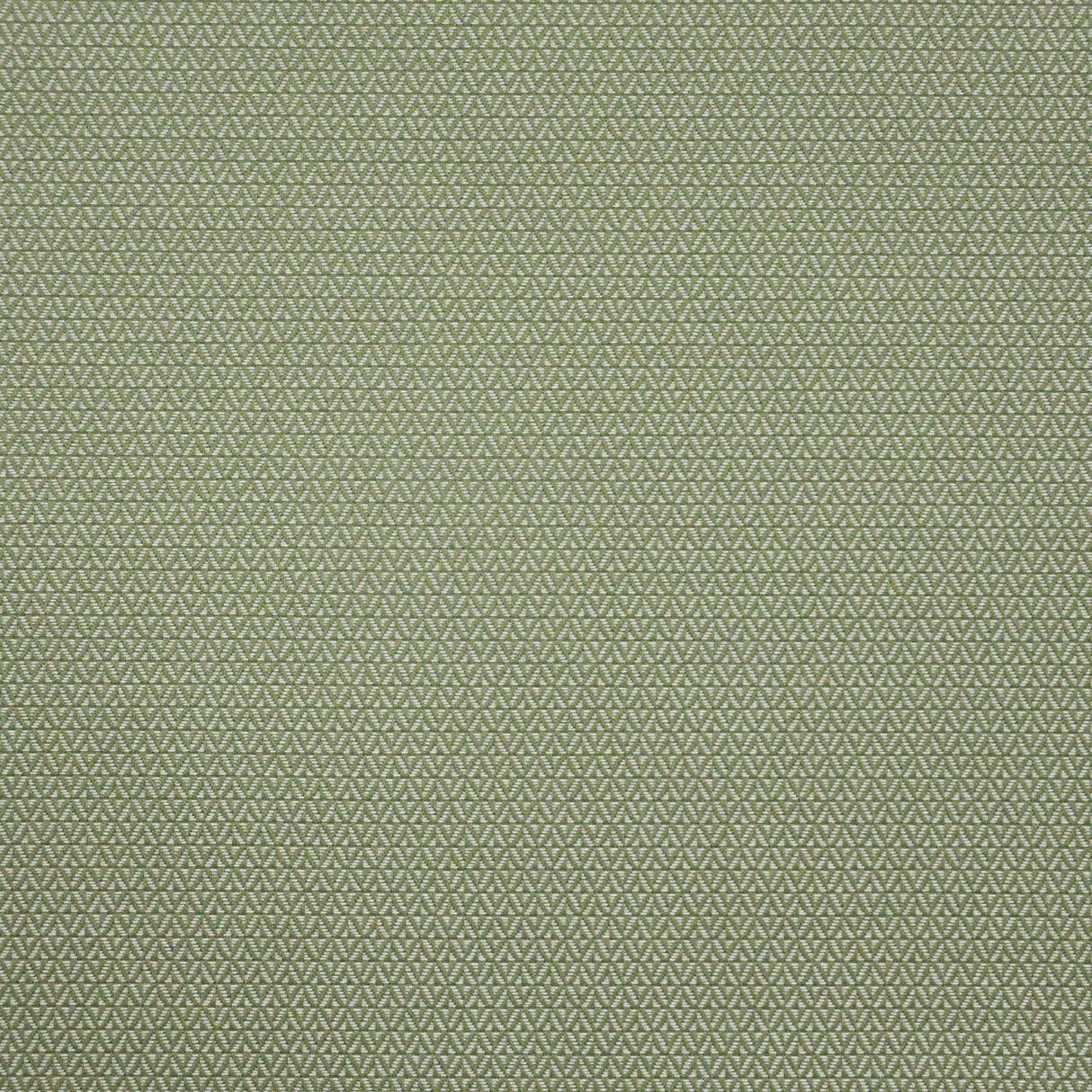 Eade’s # 646 BASIL