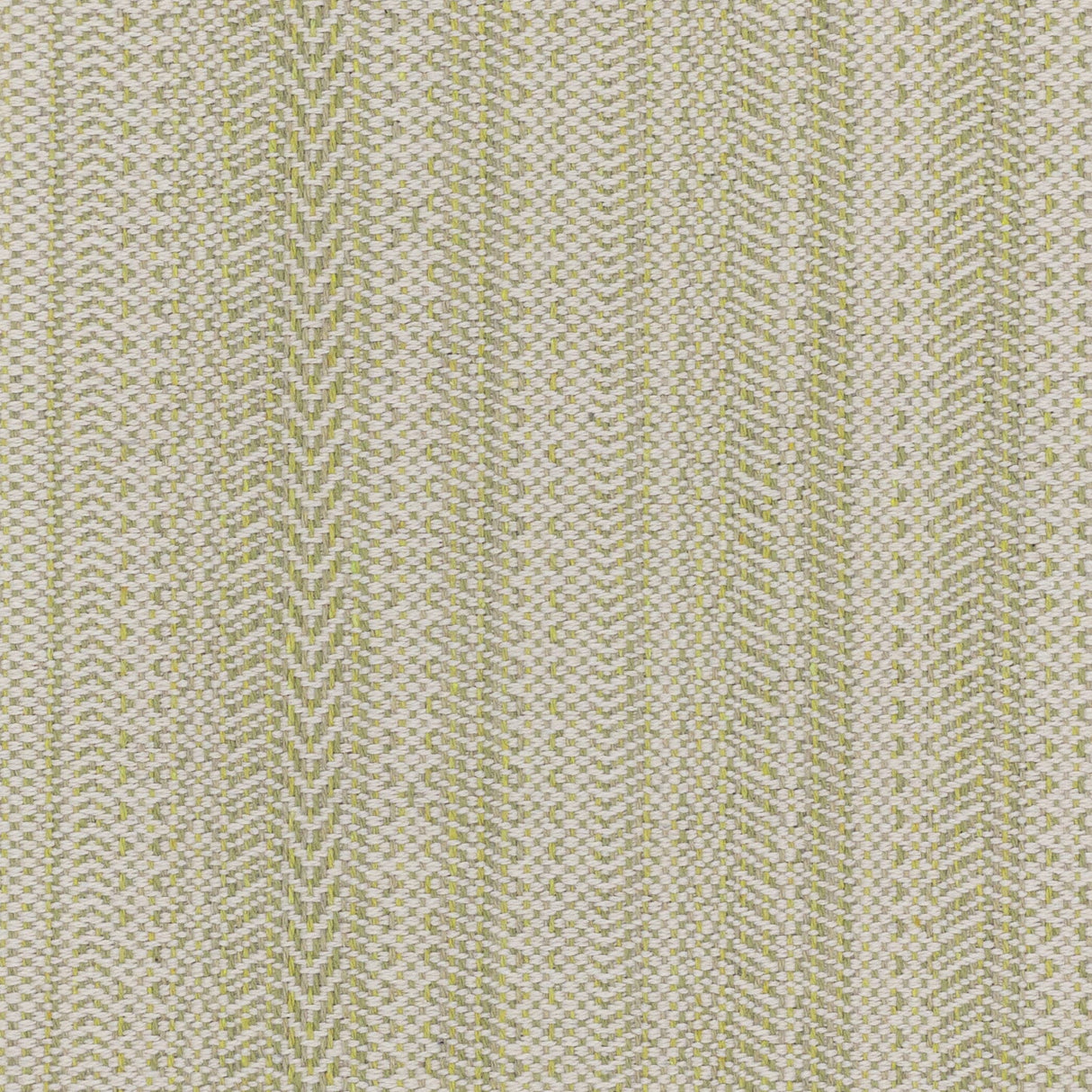 Eade's PAIN-1-sample SEEDLING