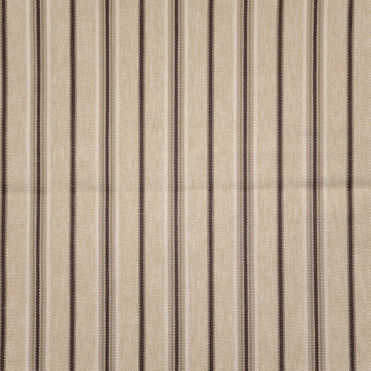 Eade’s # 221 TRUFFLE