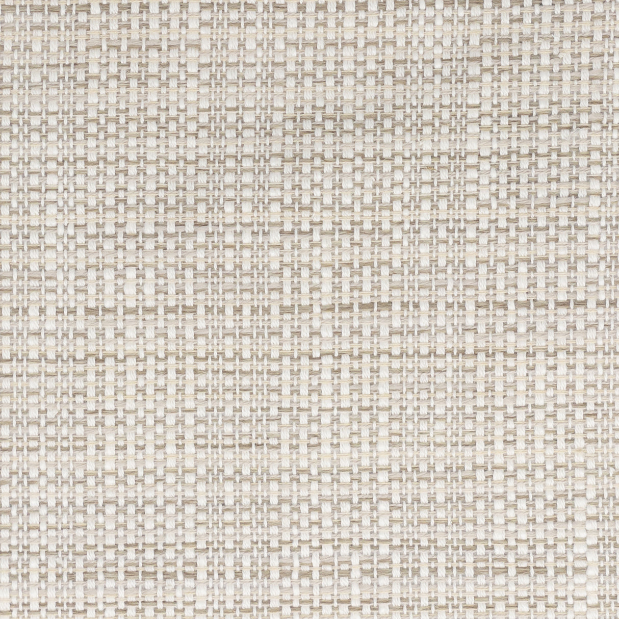 Eade's PARO-1-sample MUSHROOM