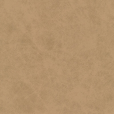 KRAVET DESIGN PATCH.106.0 KRAVET DESIGN PATCH-106 Fabric - FAUX LEATHER IV