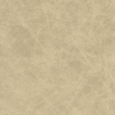 KRAVET DESIGN PATCH.11.0 KRAVET DESIGN PATCH-11 Fabric - FAUX LEATHER IV