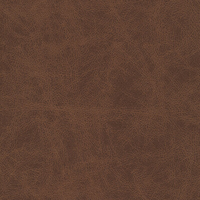 KRAVET DESIGN PATCH.6.0 KRAVET DESIGN PATCH-6 Fabric - FAUX LEATHER IV