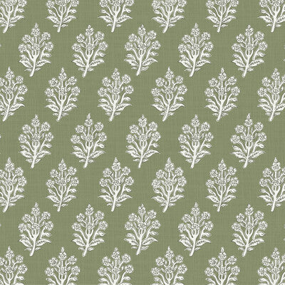 PURE EDIT DABU PEF100011.30.0 in OLIVE Wallpaper - THE PURE