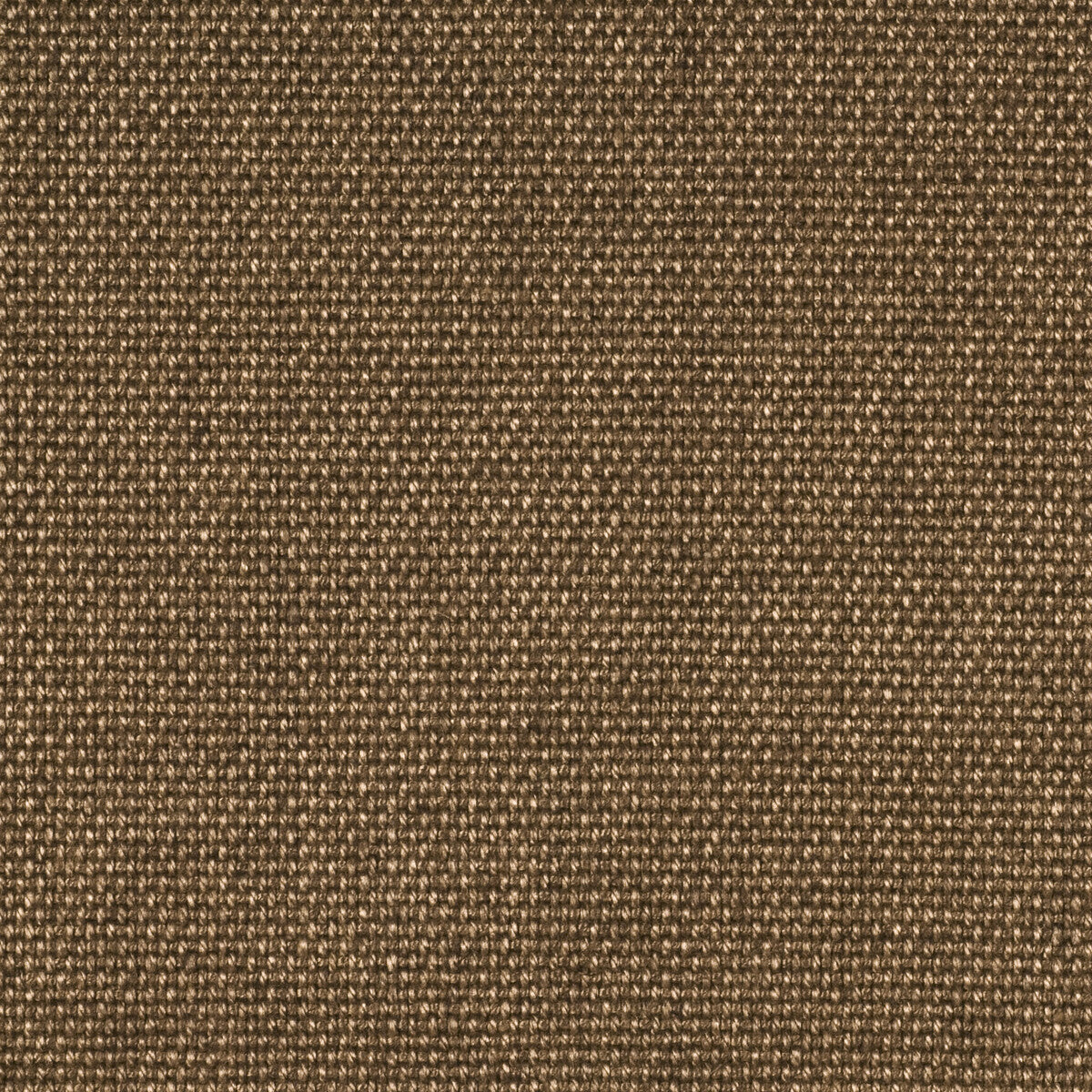 BAKER LIFESTYLE PF50126.250.0 CARADON COFFEE Fabric - Eade's Wallpaper
