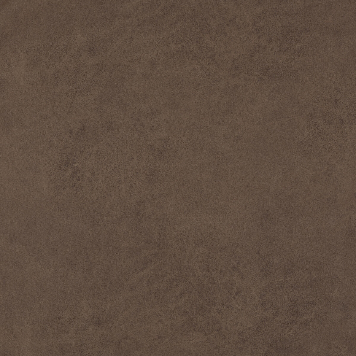 BAKER LIFESTYLE PF50412.284.0 LEXHAM TRUFFLE Fabric - Eade's Wallpaper