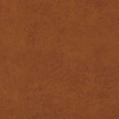 BAKER LIFESTYLE PF50412.315.0 LEXHAM AMBER Fabric - Eade's Wallpaper