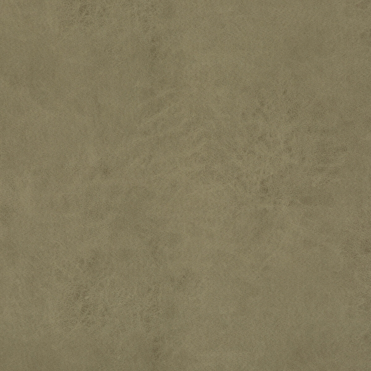 BAKER LIFESTYLE PF50412.790.0 LEXHAM SAGE Fabric - Eade's Wallpaper