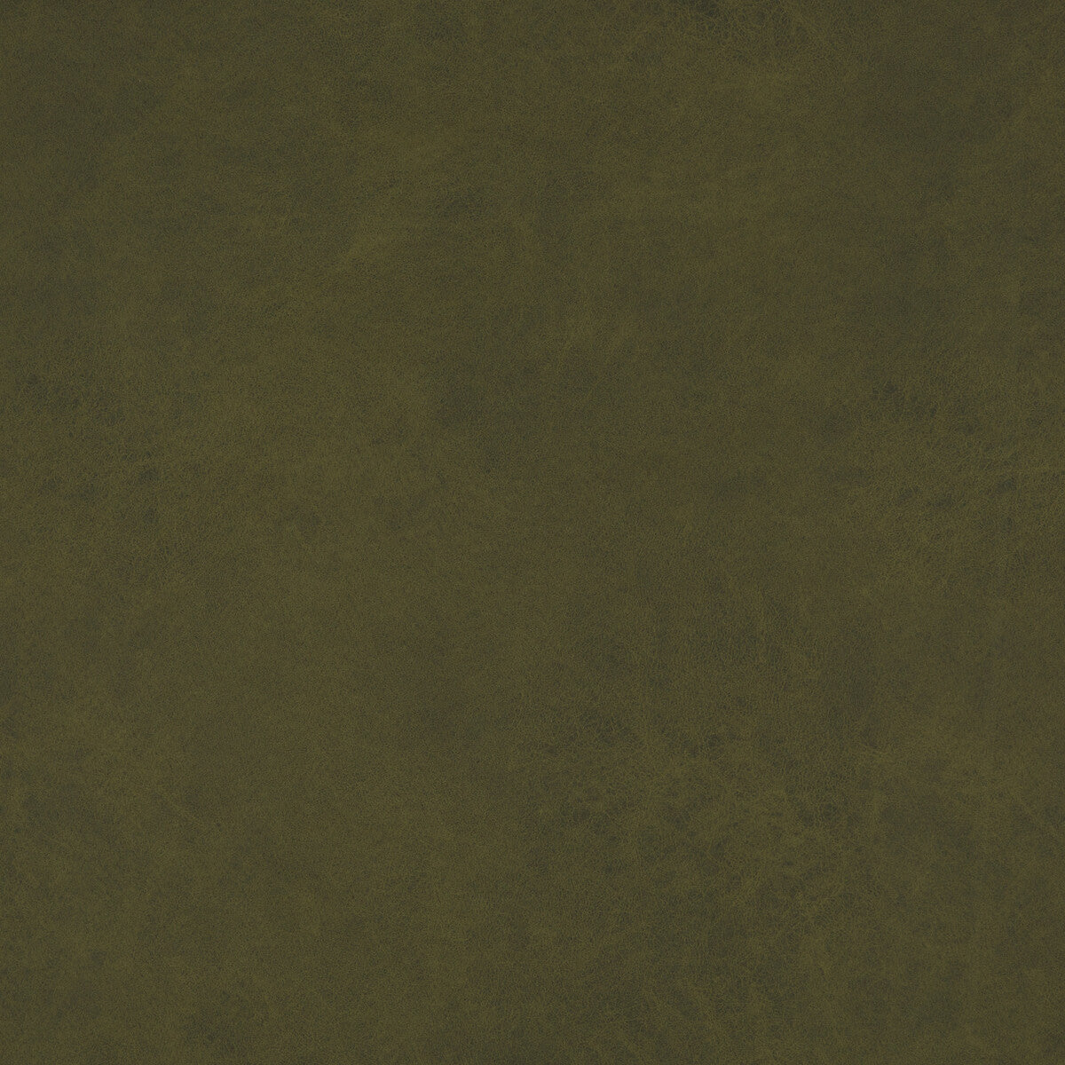 BAKER LIFESTYLE PF50412.794.0 LEXHAM FOREST Fabric - Eade's Wallpaper