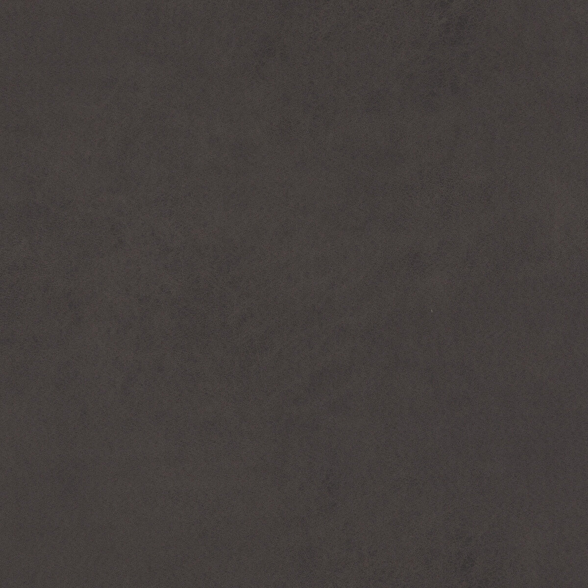 BAKER LIFESTYLE PF50412.950.0 LEXHAM ANTHRACITE Fabric - Eade's Wallpaper