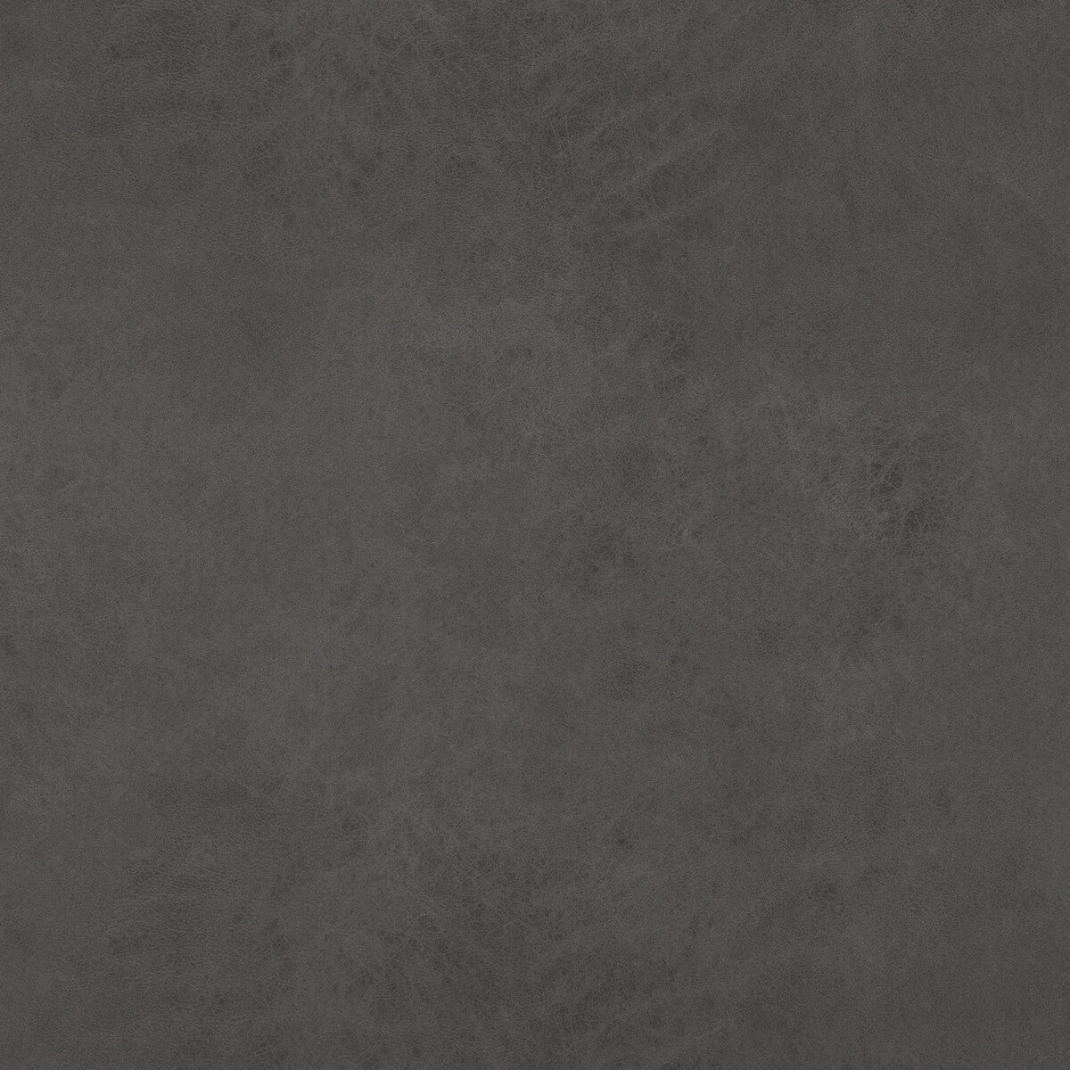 BAKER LIFESTYLE PF50412.970.0 LEXHAM GRAPHITE Fabric - Eade's Wallpaper