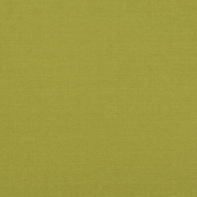 BAKER LIFESTYLE PF50413.755.0 LANSDOWNE LIME Fabric - Eade's Wallpaper
