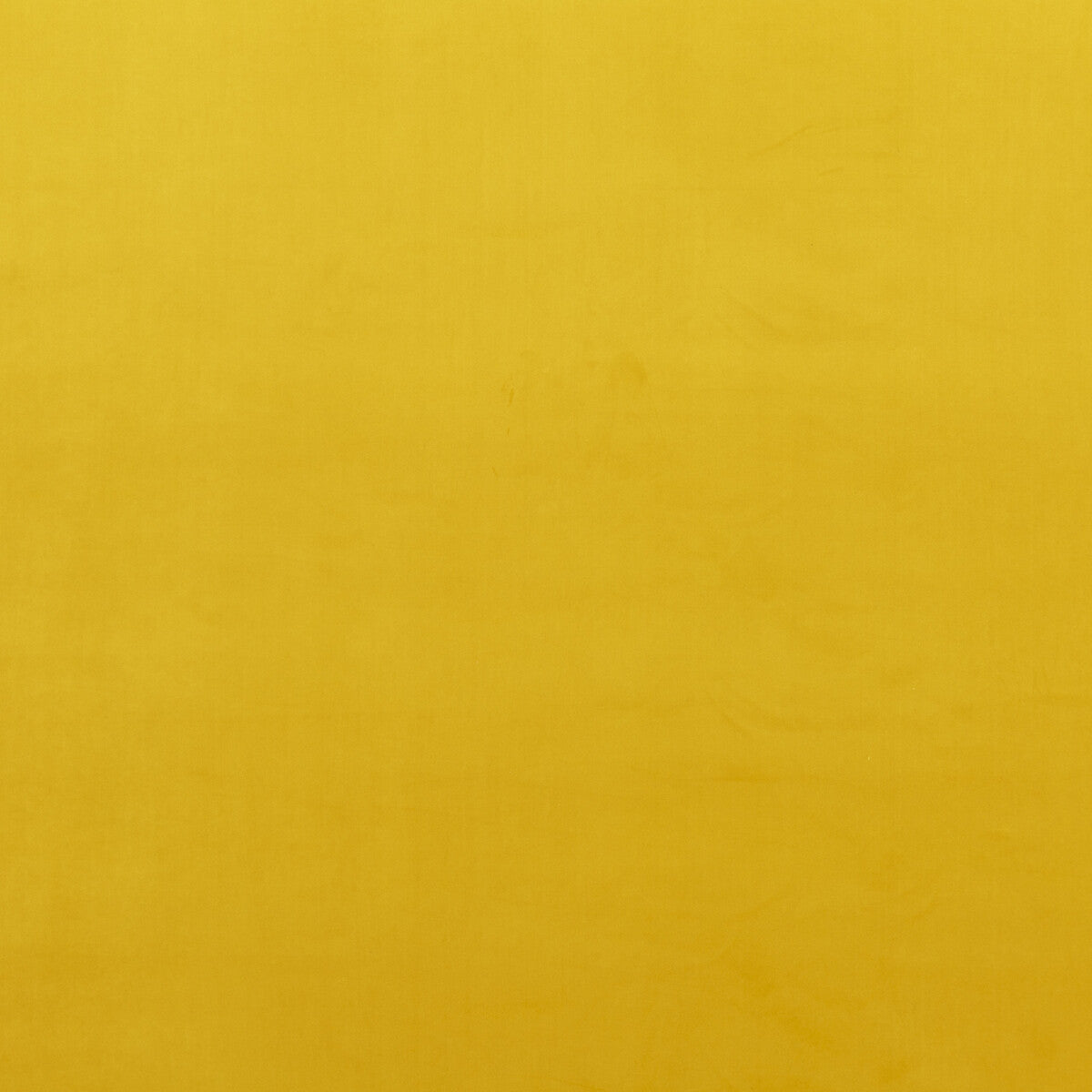 BAKER LIFESTYLE PF50417.840.0 MONTPELLIER VELVET OCHRE Fabric - Eade's Wallpaper