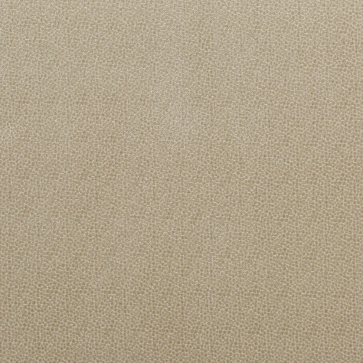 BAKER LIFESTYLE PF50423.225.0 SALSA SPOT PARCHMENT Fabric - Eade's Wallpaper