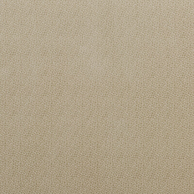 BAKER LIFESTYLE PF50423.225.0 SALSA SPOT PARCHMENT Fabric - Eade's Wallpaper