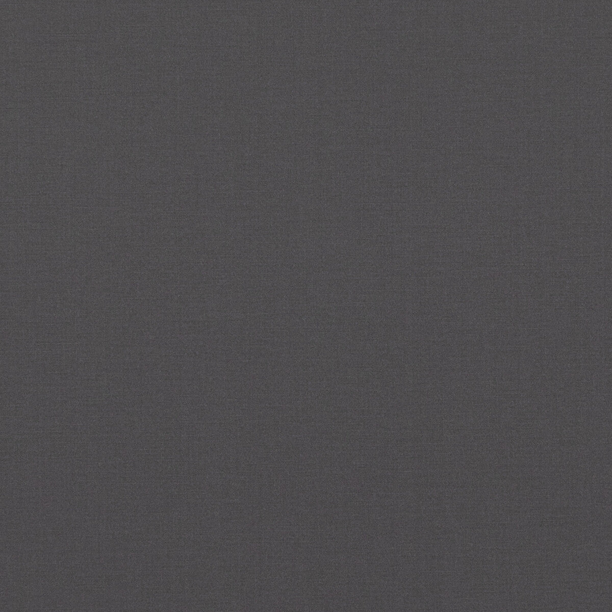 BAKER LIFESTYLE PF50478.970.0 PAVILION GRAPHITE Fabric - Eade's Wallpaper