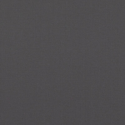 BAKER LIFESTYLE PF50478.970.0 PAVILION GRAPHITE Fabric - Eade's Wallpaper